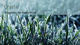  Presentation with winter ice - Slide deck enhanced with frost-on-the-plants-ice background and a light blue colored foreground