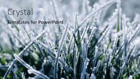  Presentation with winter ice - Slide deck having frost-on-the-plants-ice background and a light blue colored foreground