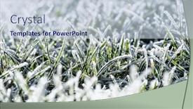  Presentation with winter ice - Presentation having frost-on-the-plants-ice background and a  colored foreground