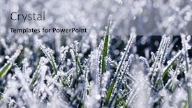  Presentation with winter ice - Slides enhanced with frost-on-the-plants-ice background and a light blue colored foreground