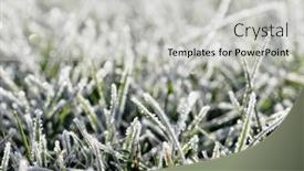  Presentation with winter ice - Theme with frost-on-the-plants-ice background and a light gray colored foreground