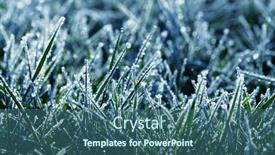  Presentation with winter ice - Theme having frost-on-the-plants-ice background and a ocean colored foreground