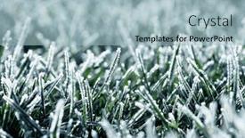  Presentation with winter ice - Presentation theme consisting of frost-on-the-plants-ice background and a light blue colored foreground