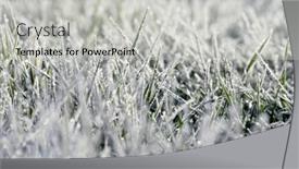  Presentation with winter ice - Theme having frost-on-the-plants-ice background and a light gray colored foreground