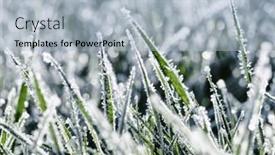  Presentation with winter ice - Slide set featuring frost-on-the-plants-ice background and a light blue colored foreground