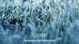  Presentation with winter ice - Presentation theme having frost-on-the-plants-ice background and a ocean colored foreground