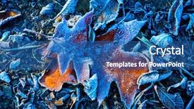  Presentation with abstract natural fresh green - PPT theme with frosted autum leaf - abstract natural background and a ocean colored foreground