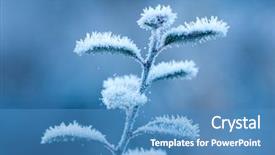  Presentation with time - Amazing slides having frosted brunch in winter time backdrop and a  colored foreground