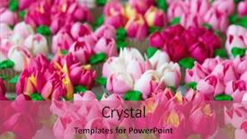  Presentation with gas piping - Beautiful slide deck featuring frosted using russian piping tips backdrop and a coral colored foreground