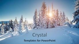  Presentation with earth day - Presentation theme enhanced with frosty-day-in-snowy-coniferous background and a light blue colored foreground