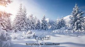  Presentation with earth day - Cool new PPT theme with frosty-day-in-snowy-coniferous backdrop and a light blue colored foreground