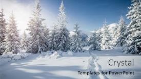  Presentation with earth day - PPT layouts featuring frosty-day-in-snowy-coniferous background and a light blue colored foreground