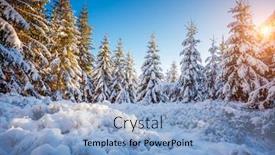  Presentation with happy new year - Beautiful PPT theme featuring frosty-day-in-snowy-coniferous backdrop and a light blue colored foreground