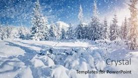  Presentation with earth day - Slide deck with frosty-day-in-snowy-coniferous background and a light blue colored foreground