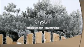  Presentation with pine trees - PPT theme having frosty-pine-trees background and a gray colored foreground