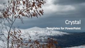  Presentation with old dry tree - Theme enhanced with winter landscape in overcast weather view on the gray sky and snowy mountains through the old dry tree cold and frosty winter cedars mountains lebanon background and a seafoam green colored foreground