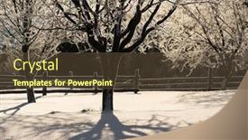  Presentation with rural women in india india - PPT theme featuring frosty-winter-morning background and a  colored foreground