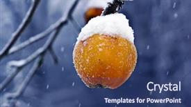  Presentation with frozen - Beautiful presentation theme featuring frozen apple in snow backdrop and a ocean colored foreground