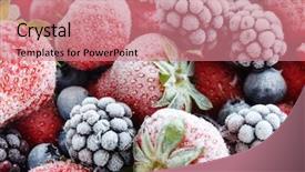  Presentation with frozen - Cool new PPT theme with frozen berries backdrop and a coral colored foreground