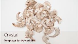  Presentation with shrimp fish - PPT theme having frozen-big-king-size-shrimp background and a soft green colored foreground