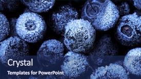  Presentation with blueberries - PPT layouts consisting of frozen blueberries background and a navy blue colored foreground