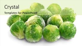  Presentation with brussels - Amazing presentation design having frozen brussels sprout isolated backdrop and a soft green colored foreground