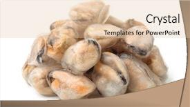  Presentation with frozen - Cool new PPT layouts with frozen cooked mussel meat backdrop and a lemonade colored foreground