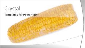 Presentation with corn cob - Audience pleasing PPT theme consisting of frozen-corn-cob-isolated backdrop and a white colored foreground