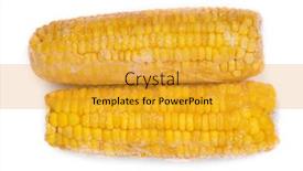  Presentation with corn cob - Audience pleasing slides consisting of frozen-corn-cob-isolated backdrop and a gold colored foreground