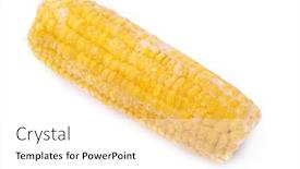  Presentation with corn cob - Presentation theme consisting of frozen-corn-cob-isolated background and a white colored foreground