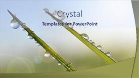  Presentation with dew - Amazing slide set having frozen-drops-of-dew backdrop and a sky blue colored foreground