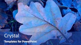  Presentation with oak forest - Beautiful slide deck featuring frozen-dry-autumn-oak-leafage backdrop and a ocean colored foreground