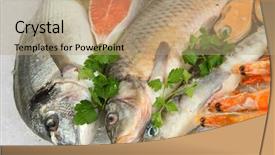  Presentation with frozen seafood - Slide set enhanced with frozen fish - fresh seafood on ice background and a coral colored foreground