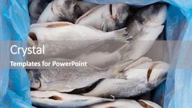  Presentation with frozen fish - Presentation design featuring frozen fish background and a gray colored foreground