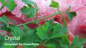 Presentation with frozen food items - Amazing slides having frozen food items - meat and a parsley pork backdrop and a forest green colored foreground