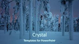  Presentation with winter forest night - Colorful PPT layouts enhanced with frozen forest after snow blizzard backdrop and a ocean colored foreground