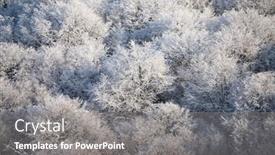  Presentation with winter forest - Amazing PPT theme having frozen-forest-close-up-abstract backdrop and a gray colored foreground
