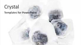  Presentation with ice frozen - Audience pleasing slide deck consisting of frozen fruits - ice cubes with blueberry isolated backdrop and a white colored foreground