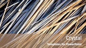  Presentation with frozen - PPT theme enhanced with frozen grass - abstract natural background background and a coral colored foreground