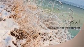  Presentation with sunshine - Audience pleasing presentation theme consisting of frozen-grass-in-sunshine backdrop and a mint green colored foreground