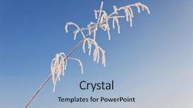  Presentation with sunshine - Slide deck having frozen grass in sunshine in cold winter background and a light blue colored foreground