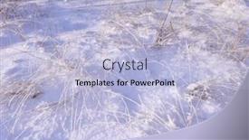  Presentation with sunshine - Colorful presentation theme enhanced with frozen grass in sunshine in cold winter backdrop and a light blue colored foreground