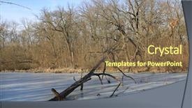  Presentation with ice frozen - Slide deck having frozen in ice on swamp background and a violet colored foreground