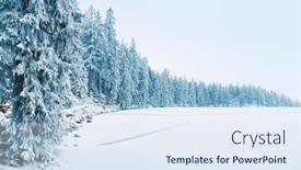 Presentation with pine trees - Amazing slide set having frozen-lake-and-winter-forest backdrop and a sky blue colored foreground