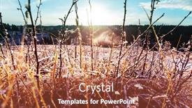  Presentation with frozen - Audience pleasing theme consisting of frozen late autumn meadow close up winter background backdrop and a red colored foreground