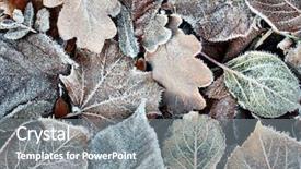  Presentation with dead leaves - Theme enhanced with frozen leaves background and a gray colored foreground