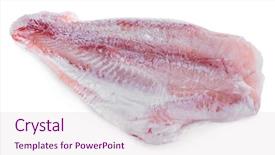  Presentation with film black and white - Cool new slide deck with frozen meat - pangasius fillet isolated on white backdrop and a  colored foreground