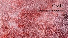  Presentation with ice frozen - Slide deck consisting of frozen meat macro thin sheet background and a coral colored foreground