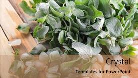  Presentation with frozen ice cold fish - Amazing slide deck having frozen mint and ice cubes backdrop and a coral colored foreground