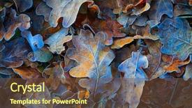  Presentation with oak - Presentation design featuring frozen oak leafs - abstract natural background and a tawny brown colored foreground